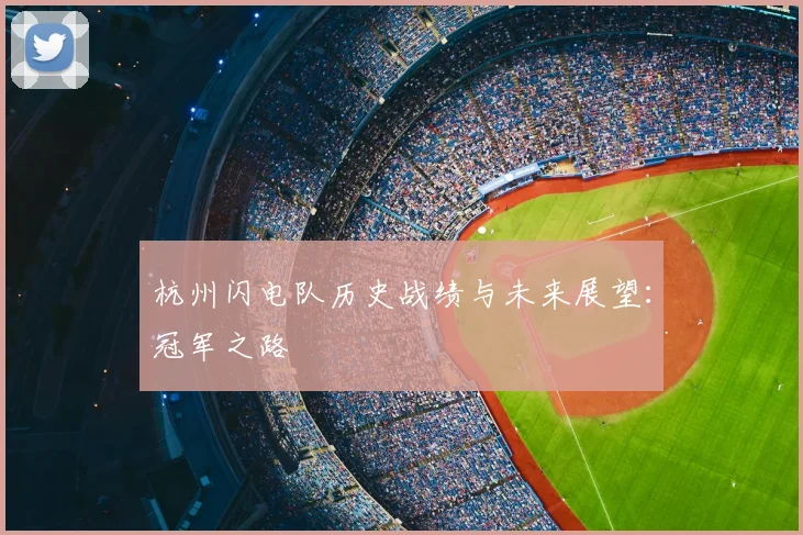 杭州闪电队历史战绩与未来展望：冠军之路