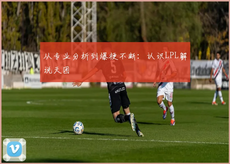 从专业分析到爆梗不断：认识LPL解说天团