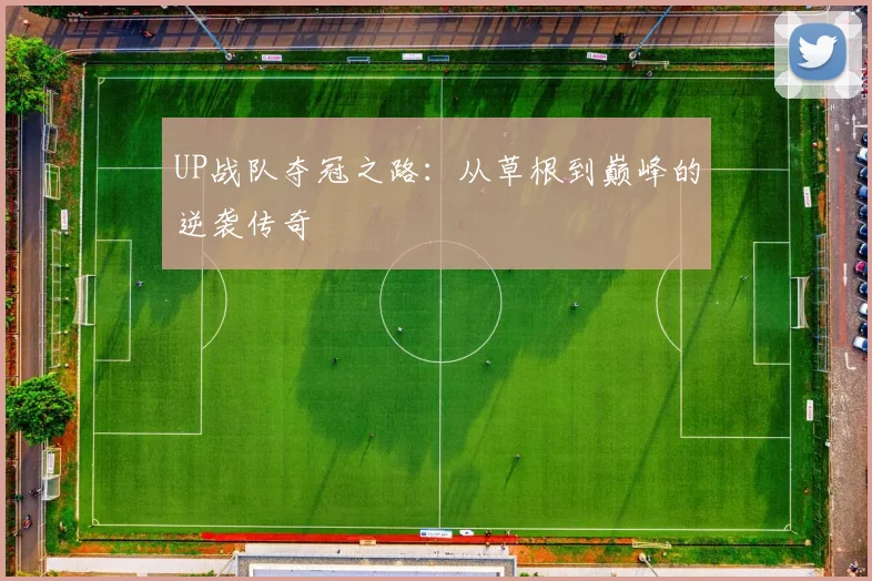 UP战队夺冠之路：从草根到巅峰的逆袭传奇