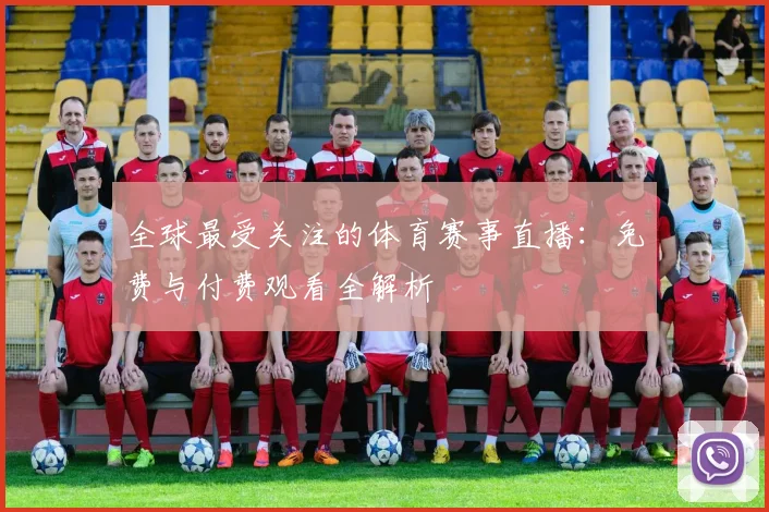 全球最受关注的体育赛事直播：免费与付费观看全解析