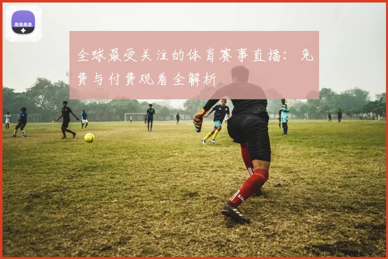 全球最受关注的体育赛事直播：免费与付费观看全解析